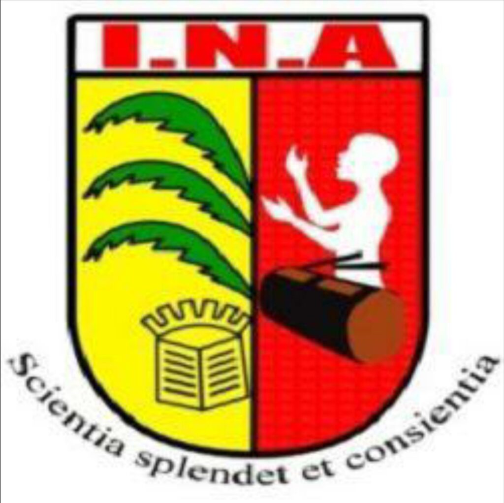 Logo INA